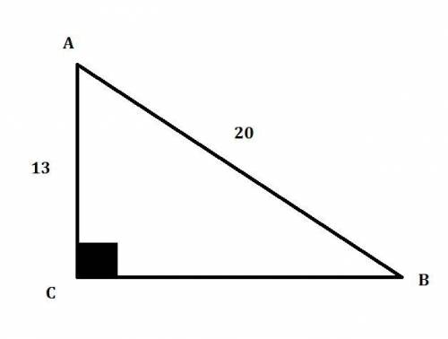 Втреугольнике abc угол c равен 90 градусов,ac=13,ab=20.найти синус b