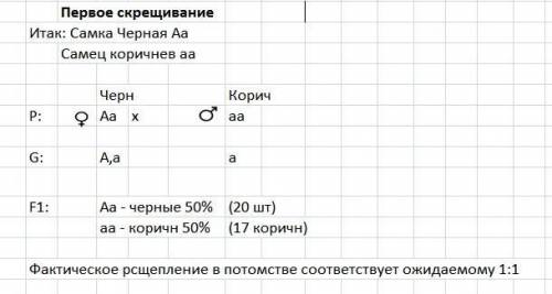 Дві чорні самки миші схрещувалися з коричневим самцем. одна самка в кілька приплодів дала 20 чорних