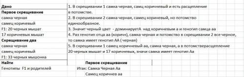 Дві чорні самки миші схрещувалися з коричневим самцем. одна самка в кілька приплодів дала 20 чорних