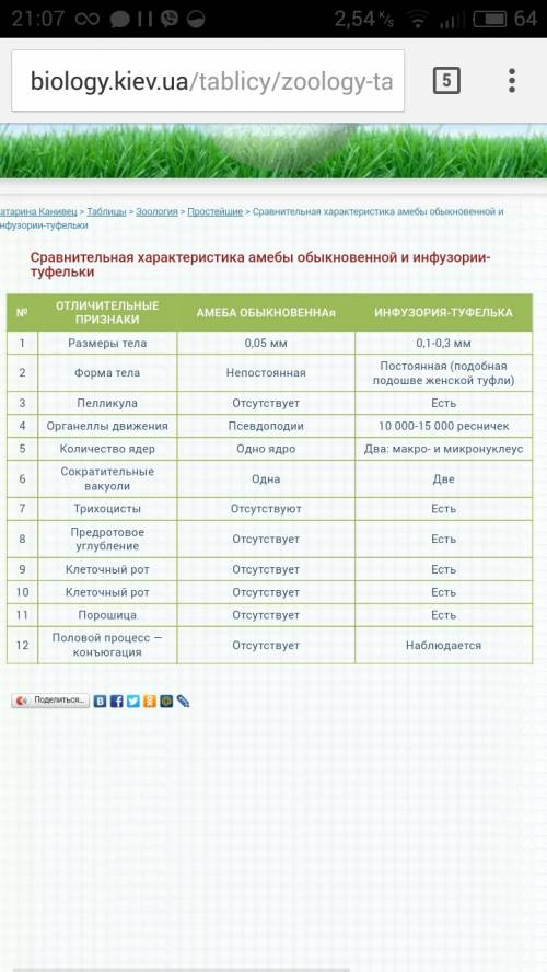 Поривняльна характертстика амеби і інфузоріі туфельки