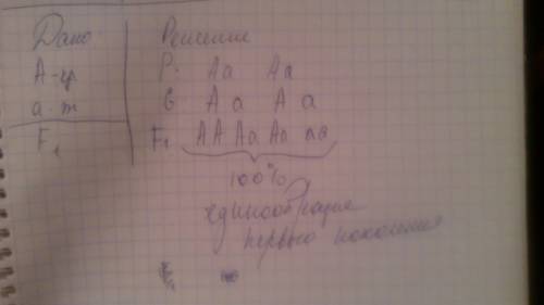 Вшкольный уголок живой природы принесли двух кроликов серых чистопородных ,но в f2 получили черные к