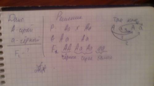 Вшкольный уголок живой природы принесли двух кроликов серых чистопородных ,но в f2 получили черные к