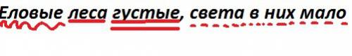 Подчеркните все слова : еловые леса густые,света в них мало !