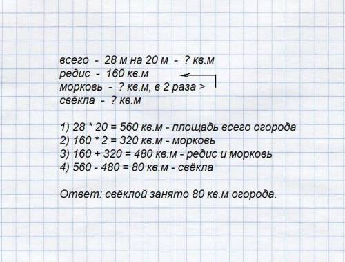 Огород прямоугольной формы , длина которого 28 м, а ширина 20 м, засеян редисом, морковью, и свёклой