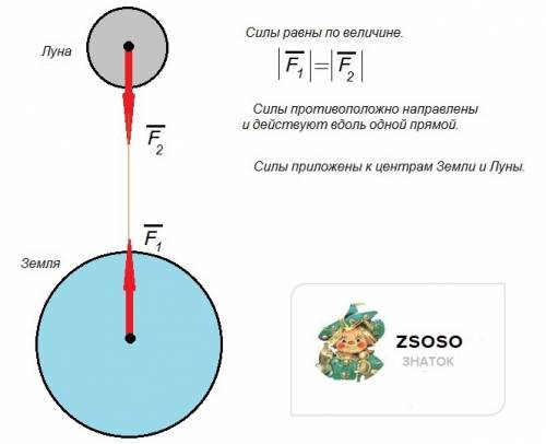 Изобразите схематично землю и луну.отметьте на этом рисунке силы всемирного тягтения,которые действу