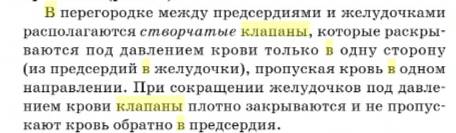 Сформулируйте вывод: какое значение имеют клапаны в кровообрашении.