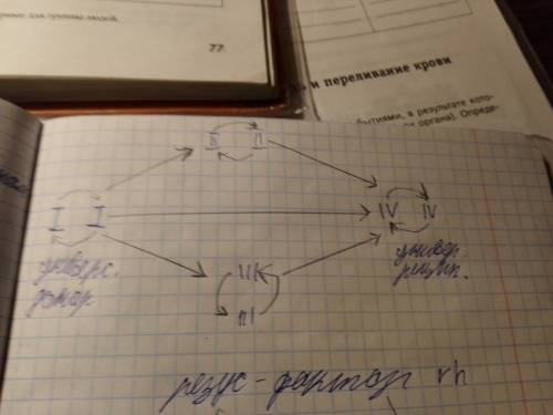 Почему доноров или реципиентов иногда называют универсальными?