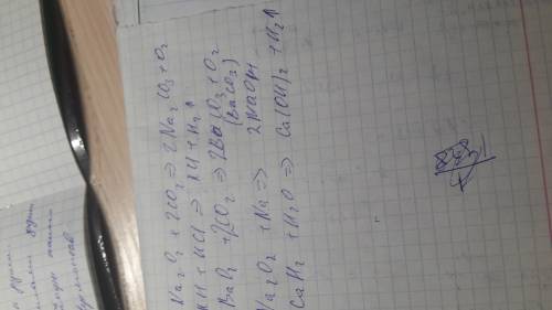 Решить ! плак-плак. na2o2+co2= kh+hcl= bao2+co2= na2o2+na= cah2+h2o=