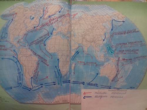 Определите основные морские течения тихого океана