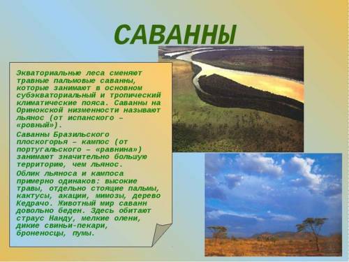 Сочинение на тему один день в саванне (напишите сами ,а не из интернета)