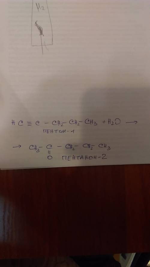 Напишите уравнение реакции пентин 1 + h2o —> ?