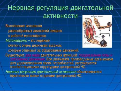 Слайды по темам экстремальные виды двигательной активности?