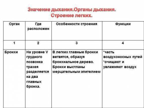 Нужно сделать таблицу по биологии ! на тему органы дыхания. 1 калонка (органы) 2 калонка(где располо