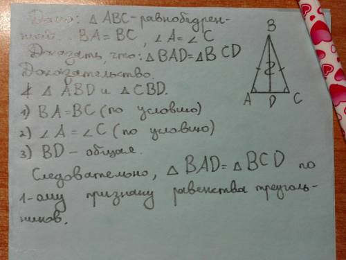 Вравнобедренном треугольника abc с основанием ac проведена высота bd.докажите равенство треугольнико