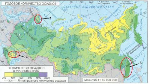 Меньше всего осадков в россии выпадает 1)на прикаспийской низменности. 2)на кольском полуострове. 3)