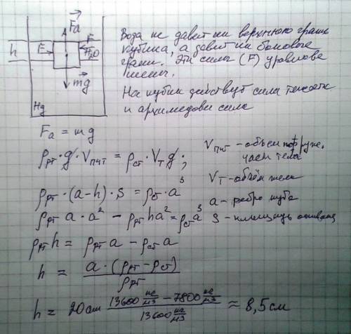 Кубик из стали с длиной ребра 20 см плавает в ртути. поверх ртути наливают воду так, что уровень вод