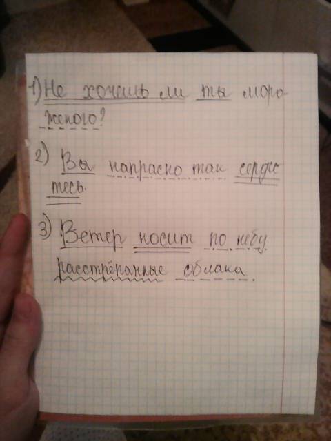 Синтаксический разбор предложений. вот предложения : 1) не хочешь ли ты мороженого. 2) вы напрасно т