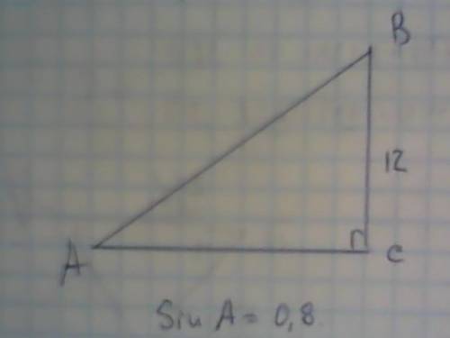 Катет прямоугольного треугольника равен 12 см , а синус противолежащего угла равен 0.8 найти перимет