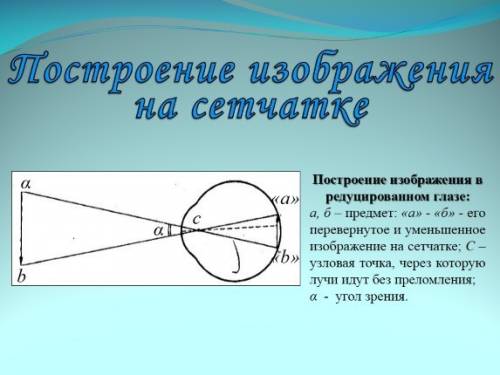 Что представляет собой оптическая система глаза. какое изображение получается на сечатке? постройте