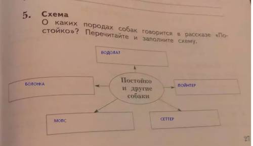 Окаких породах собак говорится в рассказе постойко?