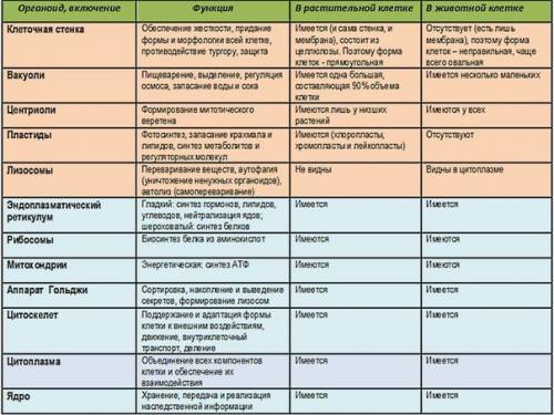 Помгите с таблицей, . название: строение клетки. ядро,цитоплазма, цитоплазматическая мембрана, микро