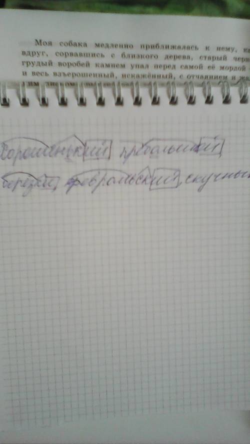 Спиши слова вставив где нужно пропущенные буквы разбери по составу слова в которых пропущена буква х