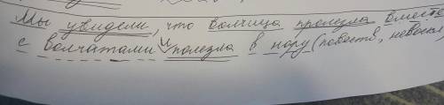 Синтаксический разбор сложного предложения предложение мы увидели что волчица пролезла вместе с волч