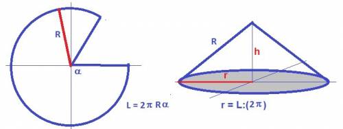 Б) вырежите из одного и того же круга два неравных сектора. сверните каждый сектор в конус. у какого