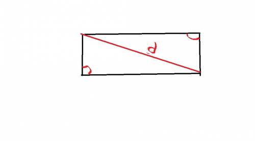 На какие два треугольника делит прямоугольник его диоганаль? сделай чертеж