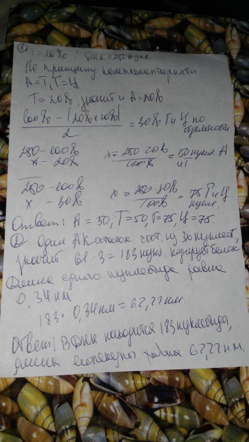 1. молекула днк состоит из 250 нуклеотидов,из них 20% приходится на тиминовый нуклеотид.найдите коли