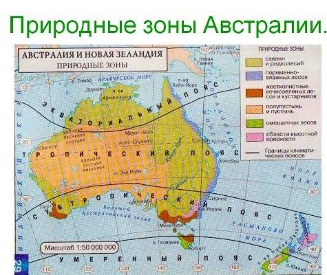 22. природные зоны, занимающие большую часть территории австралии: а) влажные экваториальные леса и