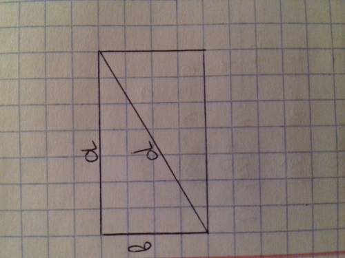 Длина прямоугольника на 2 см больше ширины найдите диагональ прямоугольника если плошад равна 24см