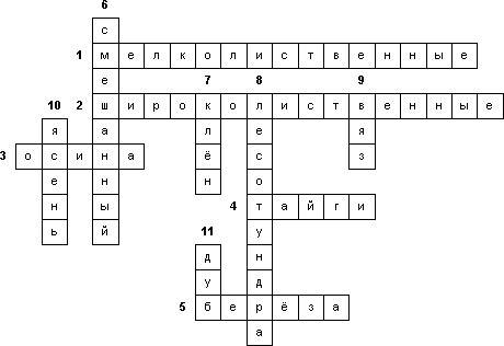 Кроссворд по 8 класс на тему леса россии
