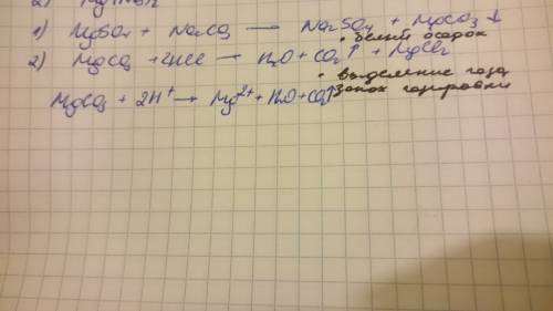 Даны вещества: agno3, mgso4, nacl, na2co3, раствор hcl. используя воду и необходимые вещества только