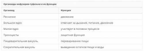 Органоиды инфузории туфельки и её значения