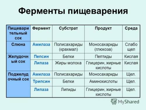 Сбиологией,. в чём выражается спецфичность действия ферментов (учавствующих в процессах пищеварения)