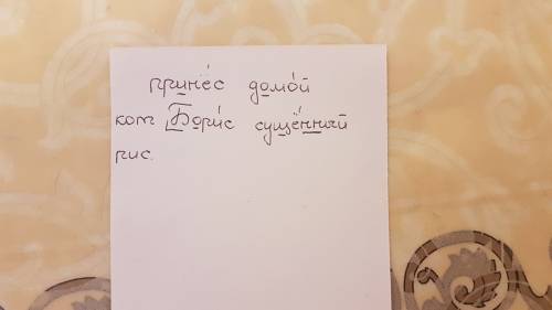 Подчеркни орфограммы.принес домой кот борис сушённый рис.