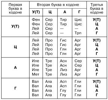 Напишіть антикод трнк з послідовністю амінокислотних залишків лей-ала-асп-вал-ліз