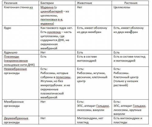 Постройте сравнительную таблицу ю,отображающкб сходство и различия в строении клеток бактерии,растен