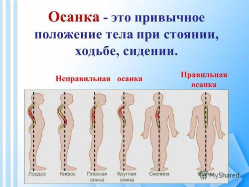 Пришлите фото по инструкцыям как сделать буклет правельная осанка