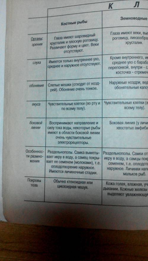 20 б сходства и различия хрящевых и костных рыб (в виде таблицы)