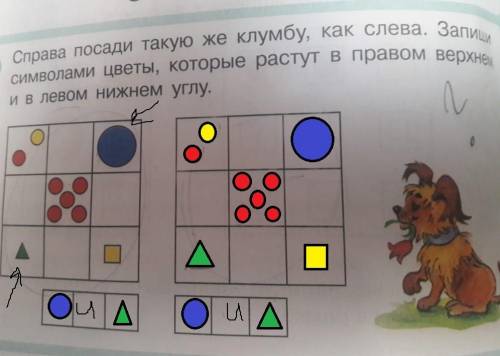 Справа посади такую же клумбу, как слева. запиши символами цветы, каторые растут в правом верхнем и