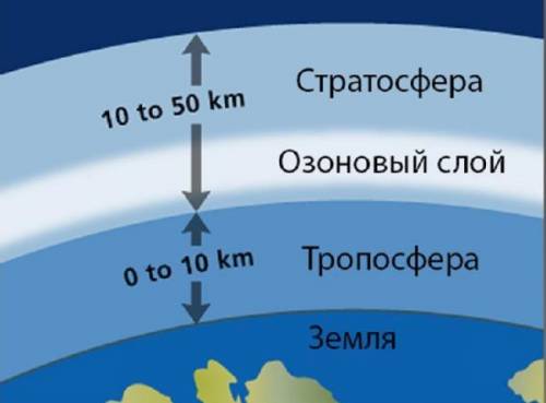 Найбільша частина озону атмосфери зосереджена : стратосфера, тропосфера, мезосфера, у верхніх шарах