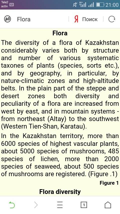 flora of kazakhstan напишите сочинение