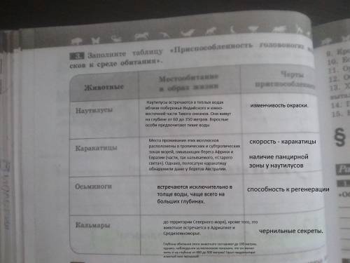 Явас умаляю 50 1)напишите что общего вы обнаружили в строении этих моллюсков раковина прудовика и ра