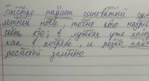 Сделать синтаксический разбор этого предложения: быстро падает синеватый сумрак летней ночи,точно кт