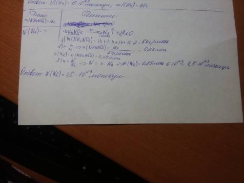 1. определите число молекул азота, которые образуются при разложении 16 г nh4no2. (nh4no2 → n2 + h2o