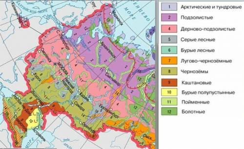 Какие почвы на восточно-европейской равнине