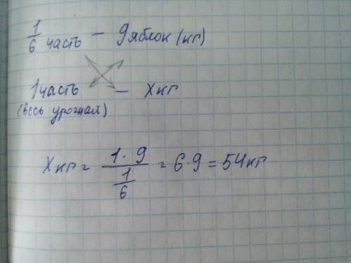 Одна шестая часть урожая яблок составила 9 кг. сколько всего килограммов яблок собрали