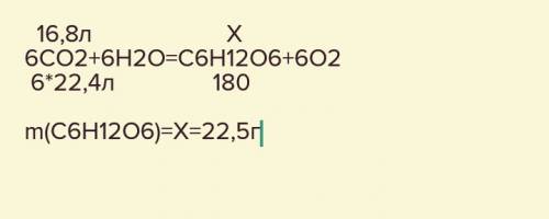 Вычислите массу глюкозы образовавшейся в процессе фотосинтеза если объем поглощаемого co2 составляет
